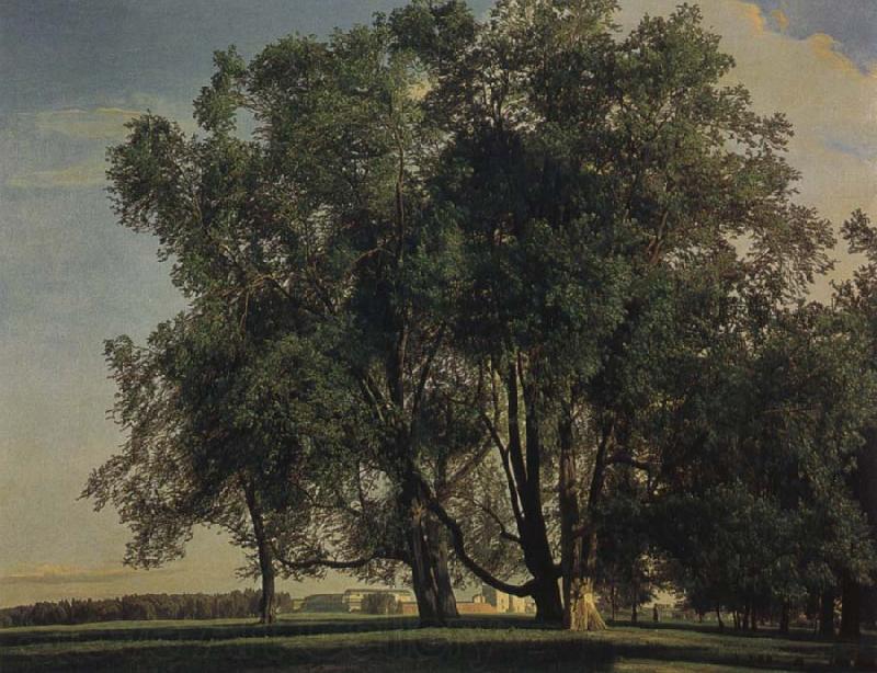 Ferdinand Georg Waldmuller Prater Landscape Norge oil painting art